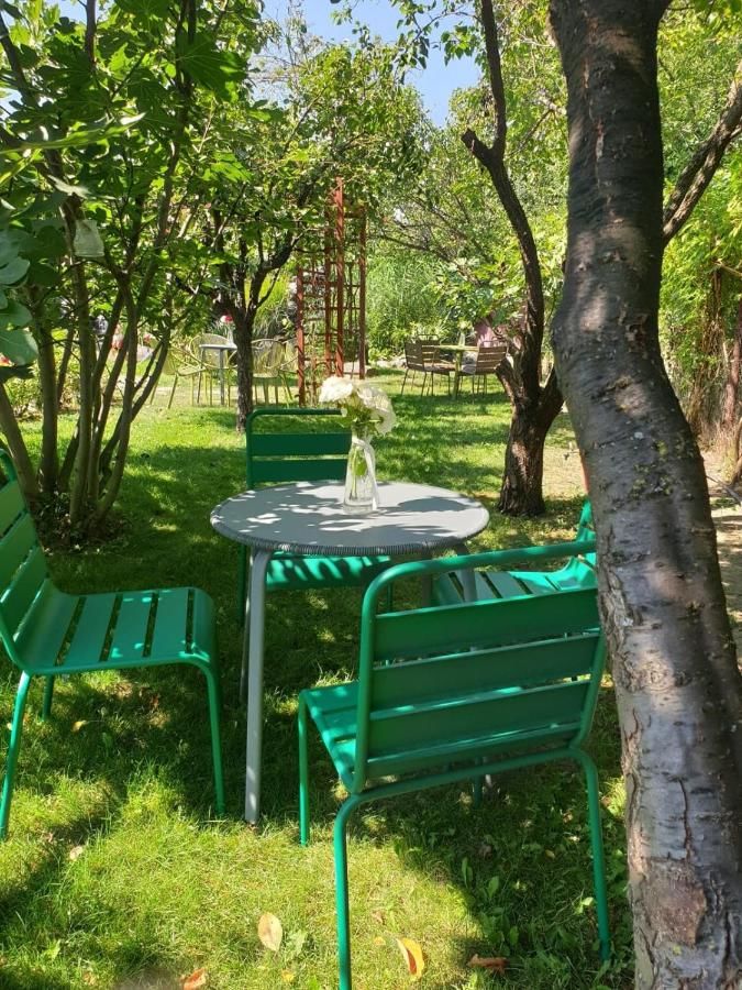 Гостевой дом Pension Delia Gardens Тимишоара-26